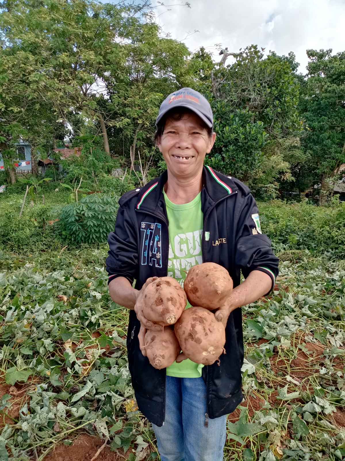 Sweet Potato Production